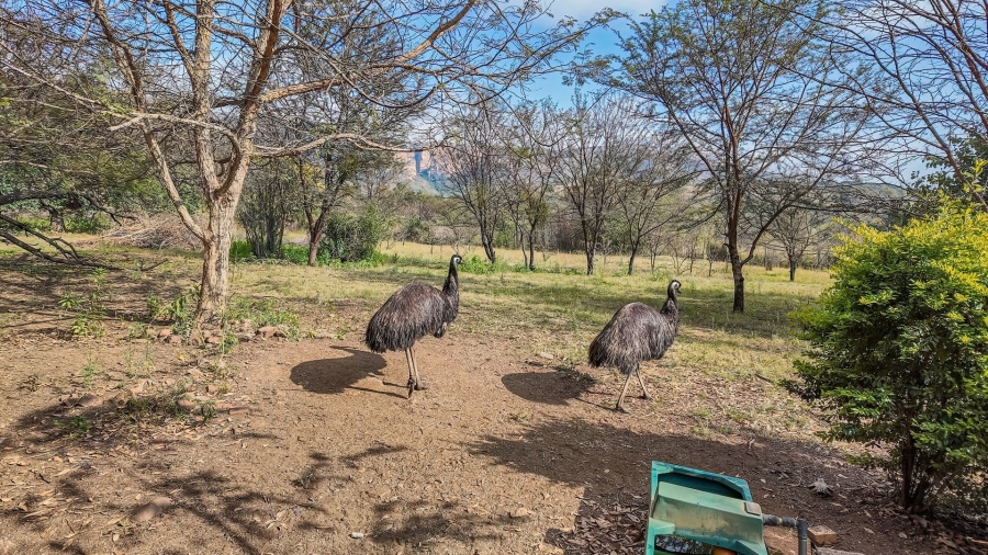 4 Bedroom Property for Sale in Protea Park North West